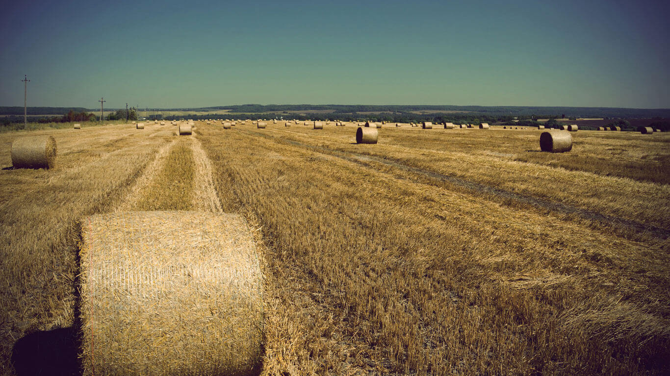 Village Background